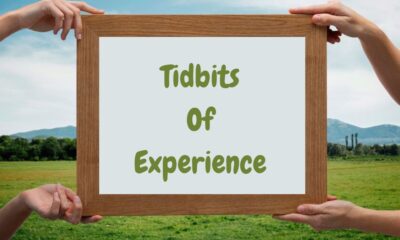 tidbits of experience