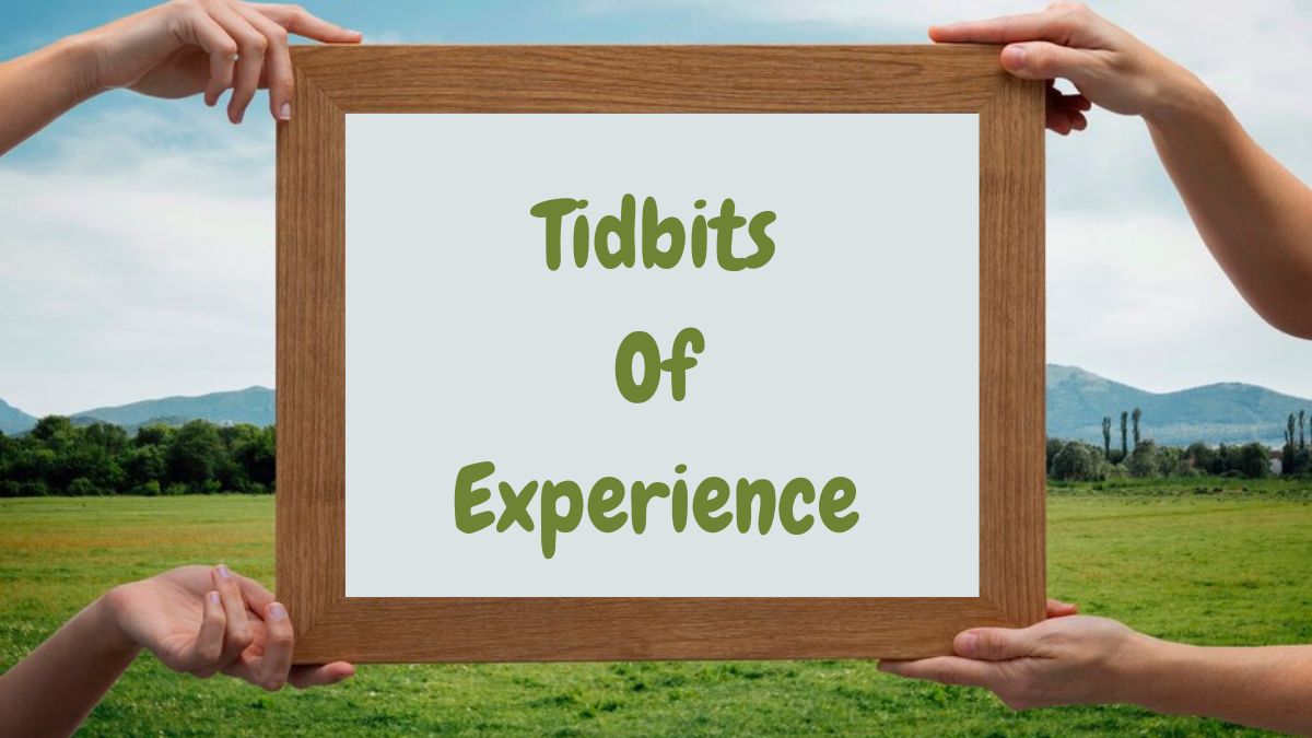 tidbits of experience